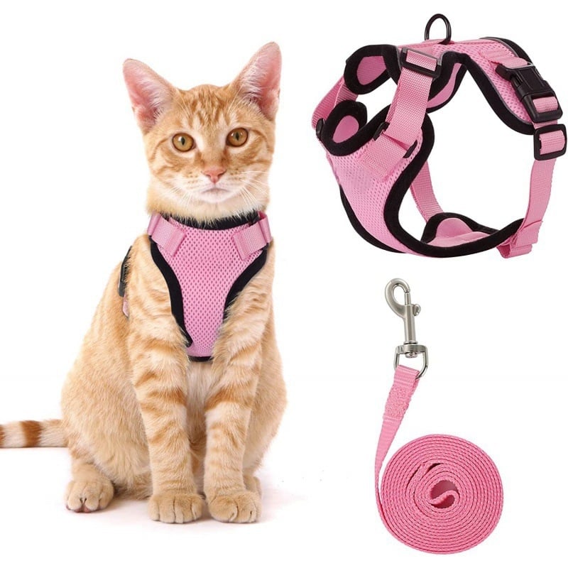 Cat Harness & Leash