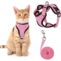 Pink - 2