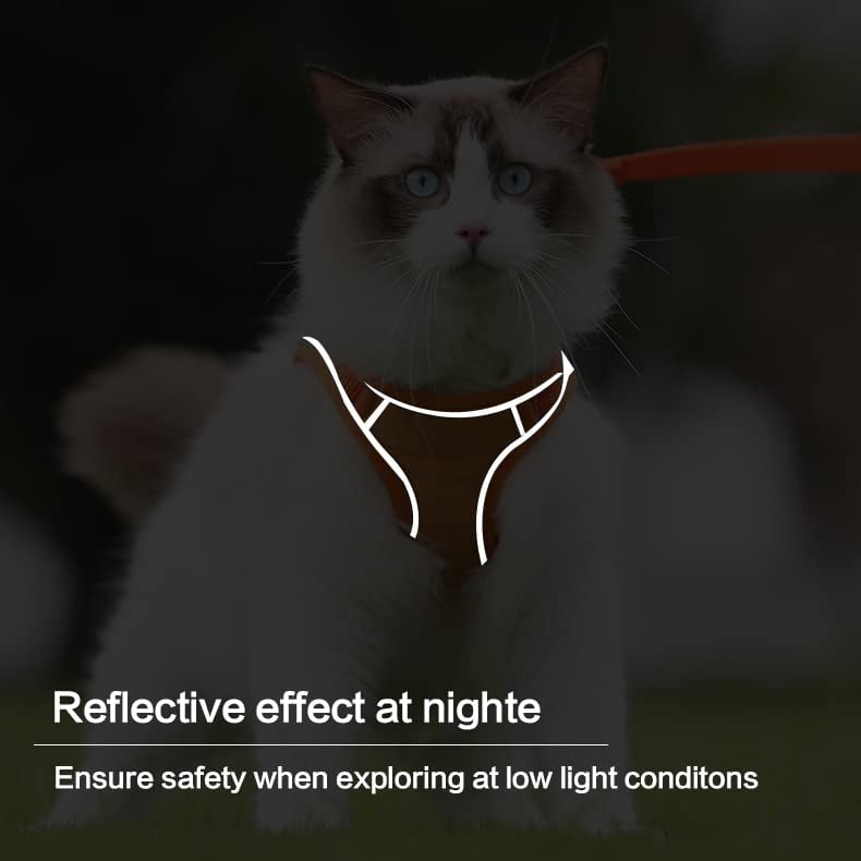 Cat Harness & Leash