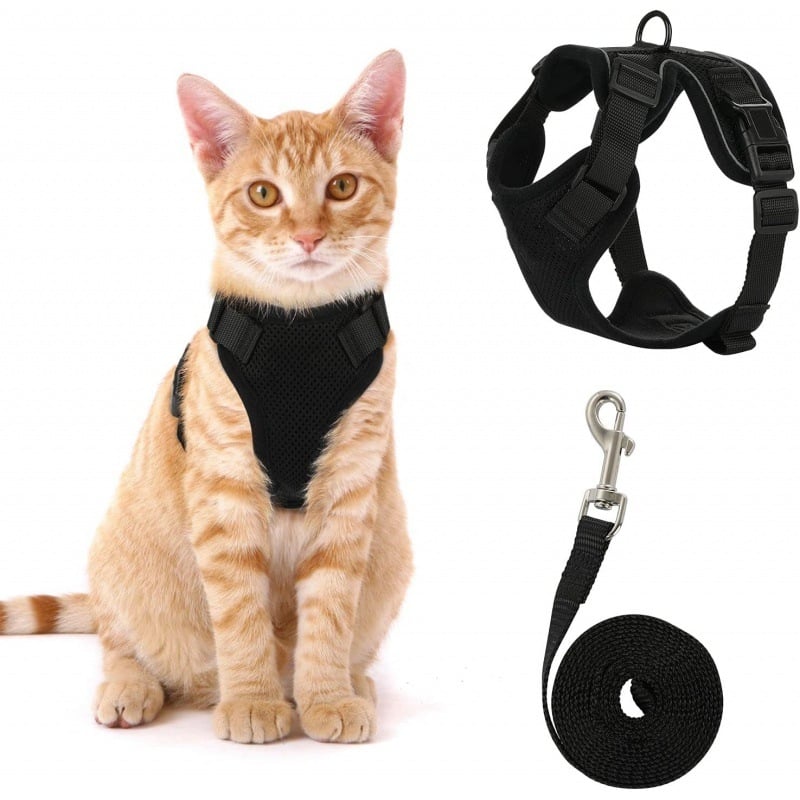 Cat Harness & Leash